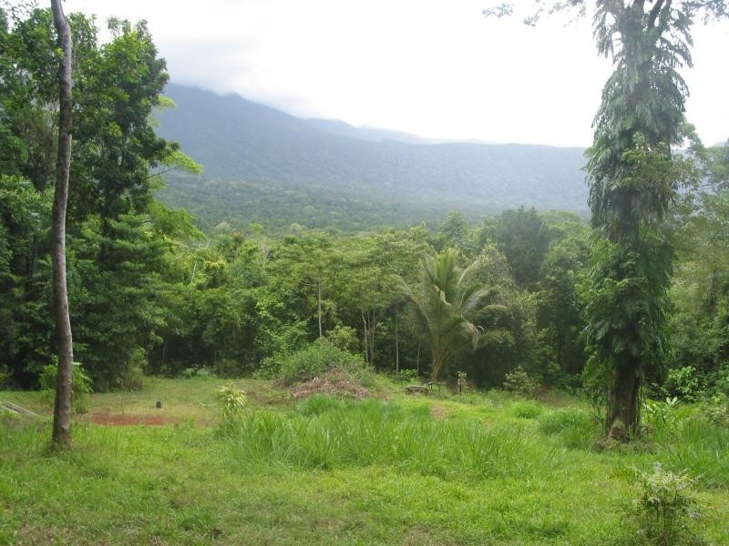 Lot 241 Carbeen Rd., Cape Tribulation QLD 4873