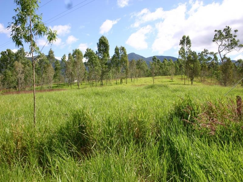 Lot 1 Edmonds, Julatten QLD 4871