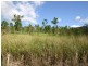 Lot 1 Edmonds, Julatten QLD 4871
