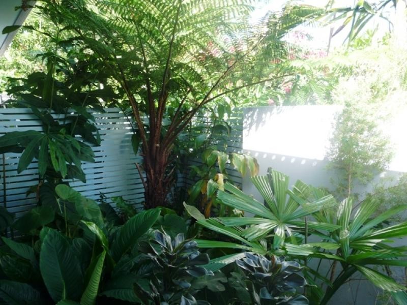 3/125 DAVIDSON, Port Douglas QLD 4877