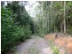 Lot 32 Cape Tribulation Rd, Daintree QLD 4873