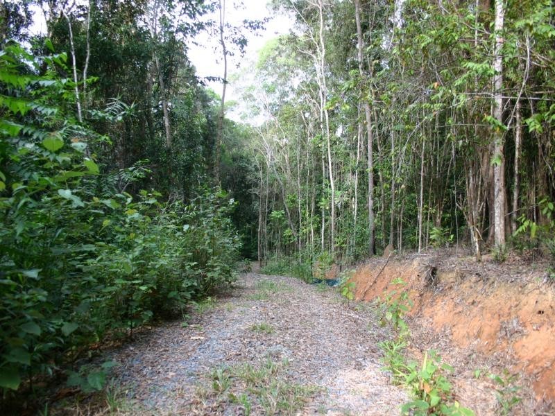 Lot 32 Cape Tribulation Rd, Daintree QLD 4873