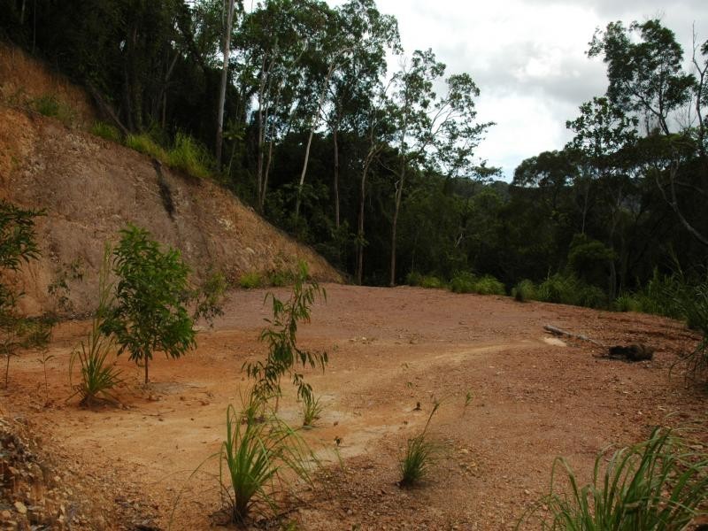 Lot 32 Cape Tribulation Rd, Daintree QLD 4873