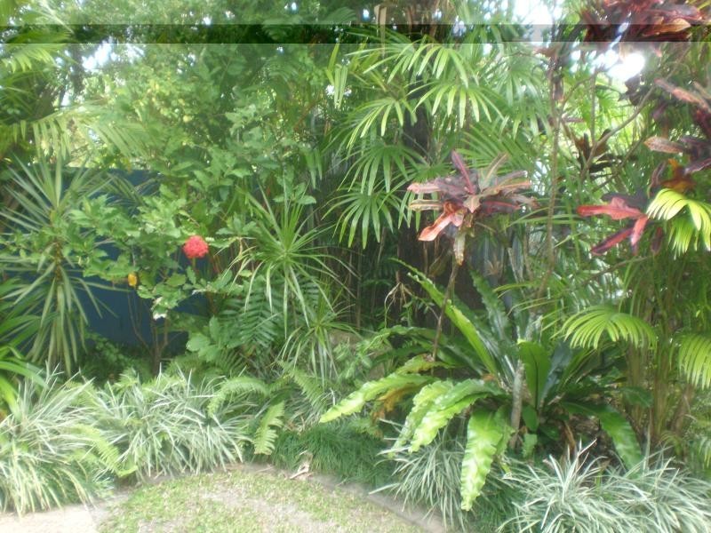16 Pecten, Port Douglas QLD 4877