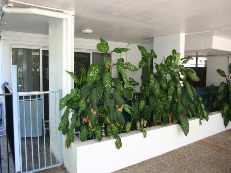 1 DRIFTWOOD MANTARAY, Port Douglas QLD 4877