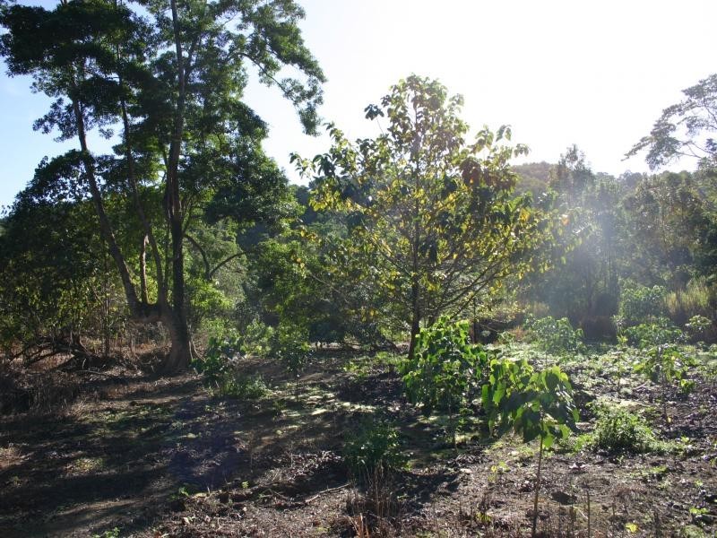 Lot 3 Whyanbeel Rd, Whyanbeel QLD 4873