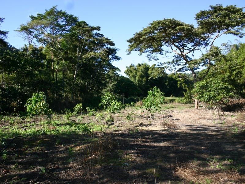 Lot 3 Whyanbeel Rd, Whyanbeel QLD 4873