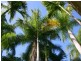22/11-15 (SANDS) PORT DOUGLAS RD, Port Douglas QLD 4877