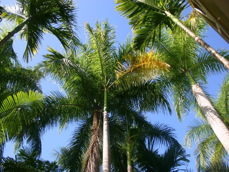 22/11-15 (SANDS) PORT DOUGLAS RD, Port Douglas QLD 4877