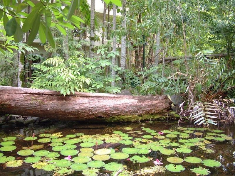 C114/TREETOPS PORT DOUGLAS RD, Port Douglas QLD 4877