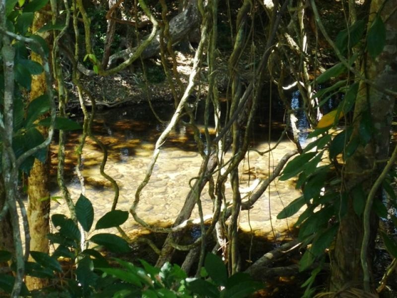 142 Old Forestry Road, Whyanbeel QLD 4873