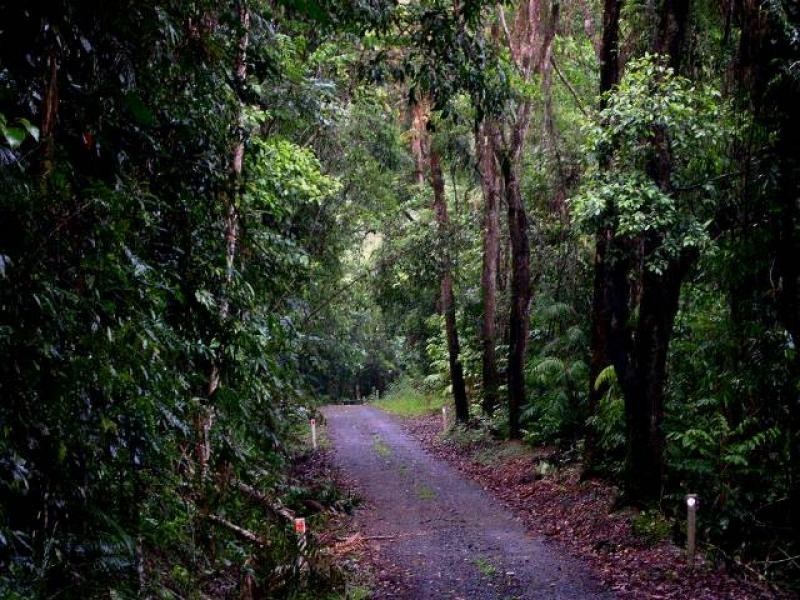 142 Old Forestry Road, Whyanbeel QLD 4873