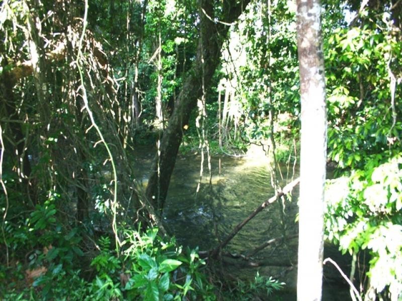 142 Old Forestry Road, Whyanbeel QLD 4873