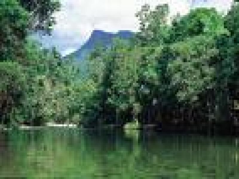 2 Gerygone Close, Mossman QLD 4873