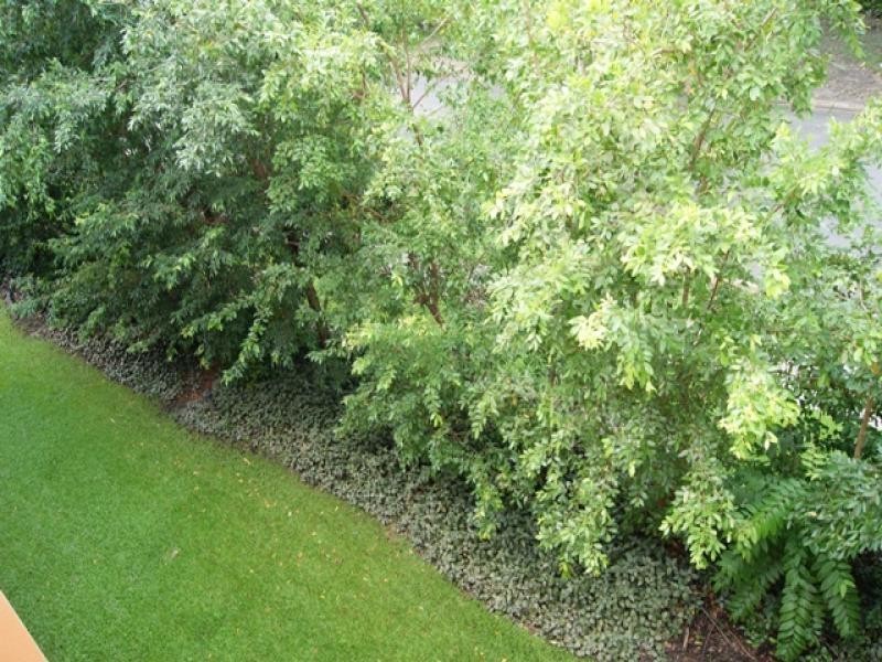 17/ Central Plaza, Port Douglas QLD 4877