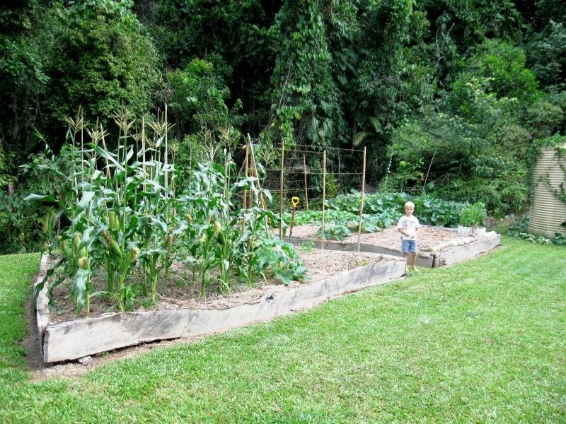 16 Robin Close, Whyanbeel QLD 4873