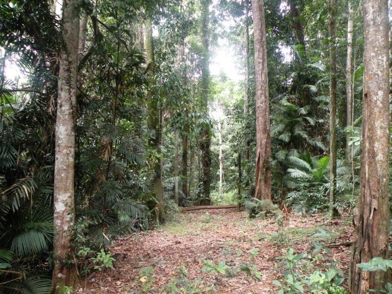 LOT 29 SALISBURY DVE, Julatten QLD 4871