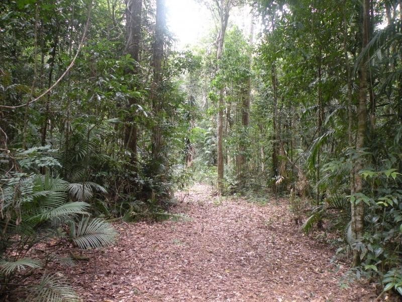 LOT 29 SALISBURY DVE, Julatten QLD 4871