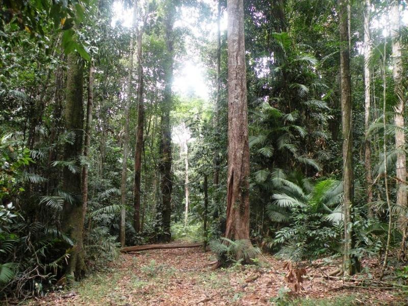 LOT 29 SALISBURY DVE, Julatten QLD 4871