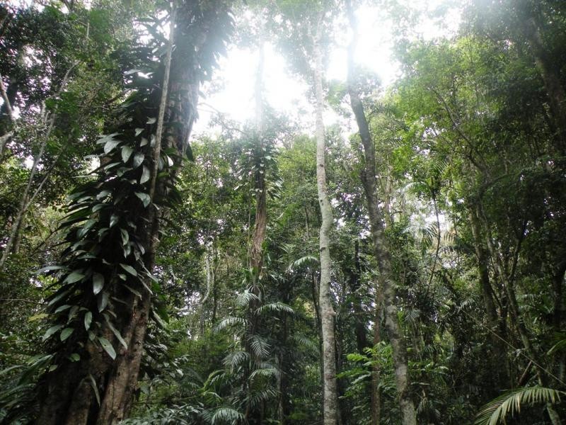 LOT 29 SALISBURY DVE, Julatten QLD 4871