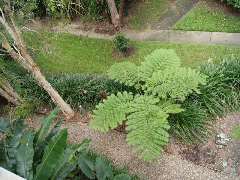 51 Portsea, Port Douglas QLD 4877