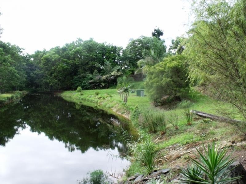 2 Whiteley Road, Miallo QLD 4873