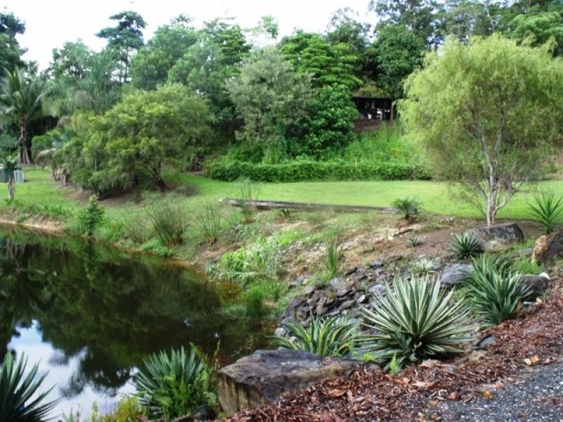 2 Whiteley Road, Miallo QLD 4873