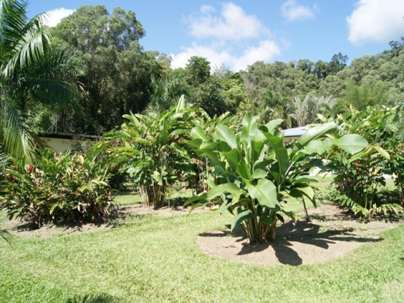 11 Whiteley Rd, Miallo QLD 4873