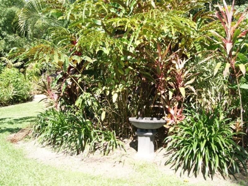 11 Whiteley Rd, Miallo QLD 4873