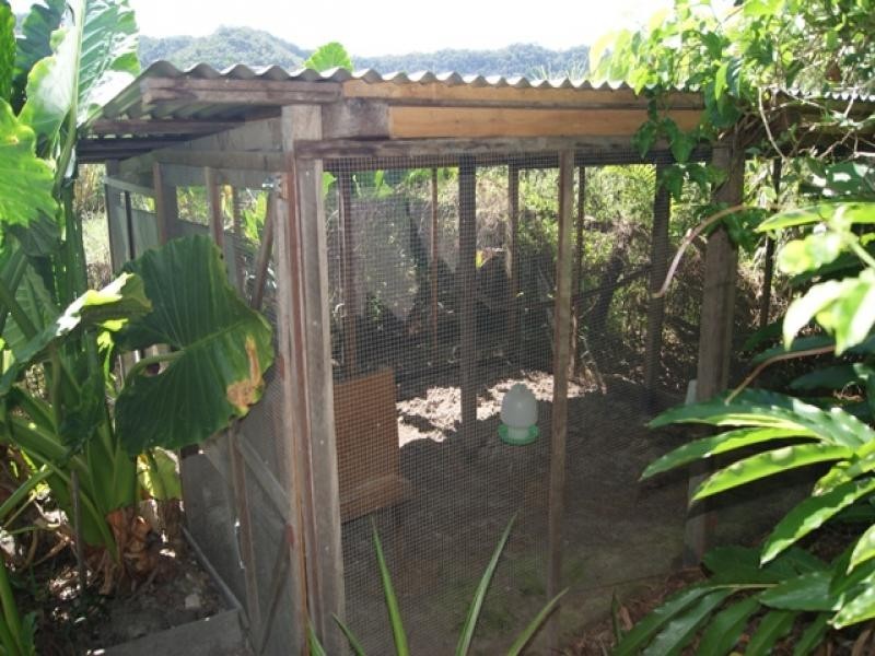 11 Whiteley Rd, Miallo QLD 4873