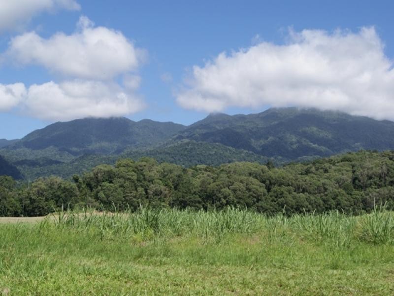 11 Whiteley Rd, Miallo QLD 4873