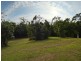 Lot 3 Mossman-Mt molloy Rd, Cassowary QLD 4873