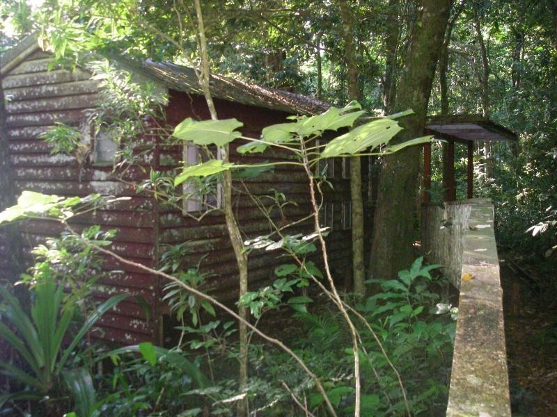 42 Maple Road, Cow Bay QLD 4873