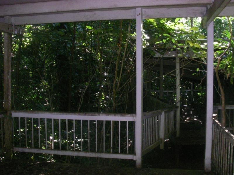 42 Maple Road, Cow Bay QLD 4873