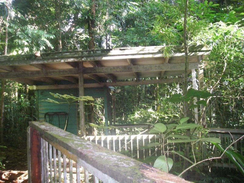 42 Maple Road, Cow Bay QLD 4873