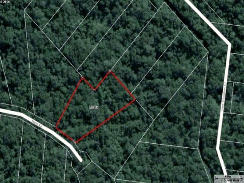 42 Maple Road, Cow Bay QLD 4873