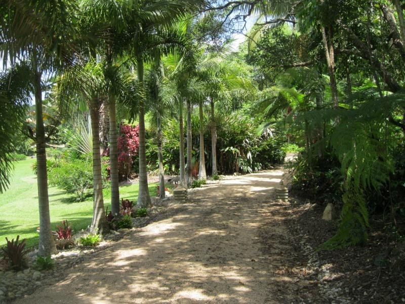 61 WINDSOR VIEW RD, Julatten QLD 4871