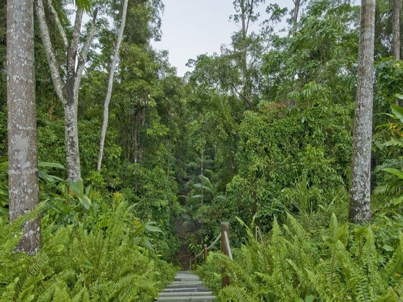 111 Mt Lewis Rd, Julatten QLD 4871