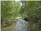 111 Mt Lewis Rd, Julatten QLD 4871