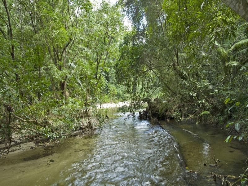 111 Mt Lewis Rd, Julatten QLD 4871