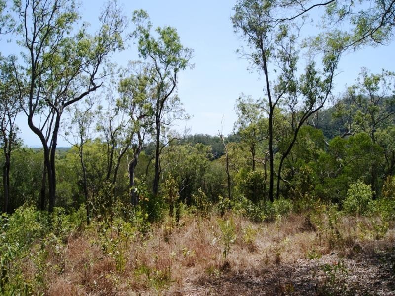 74 SPRING CREEK RD, Port Douglas QLD 4877