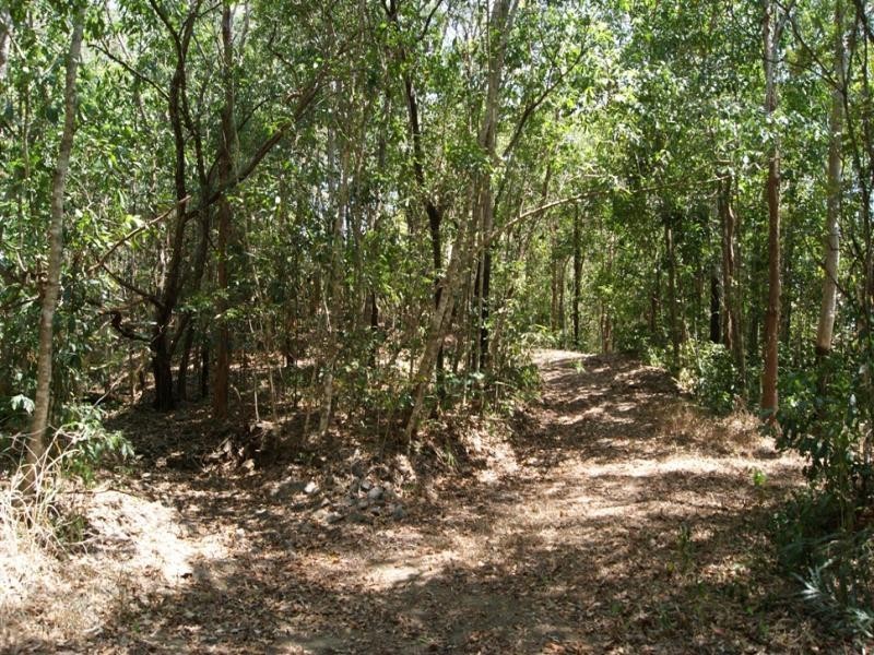 74 SPRING CREEK RD, Port Douglas QLD 4877