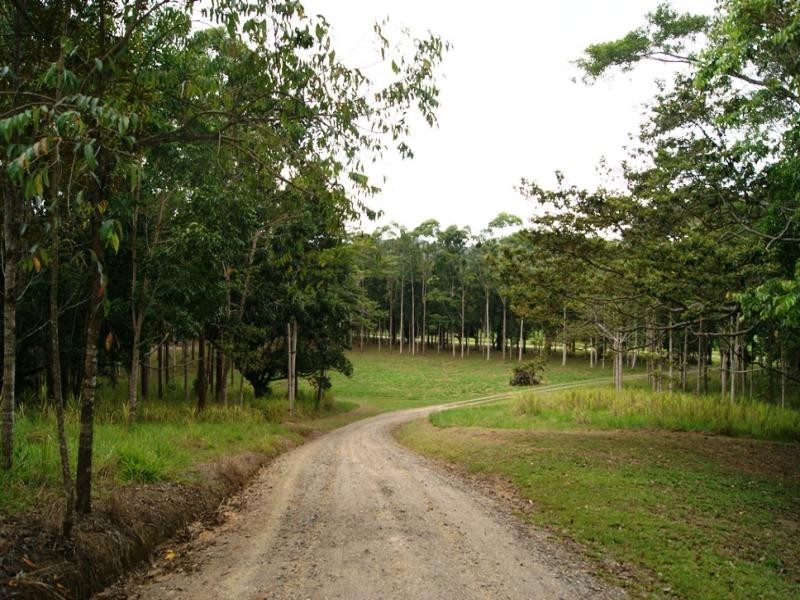 121 MT PERSEVERANCE RD, Julatten QLD 4871