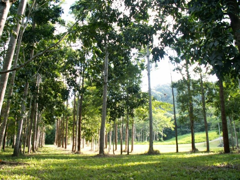 121 MT PERSEVERANCE RD, Julatten QLD 4871