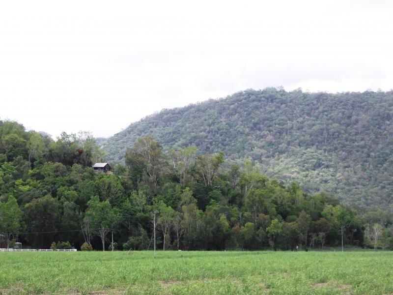 12 and 13 Tresize Road, Mowbray QLD 4877