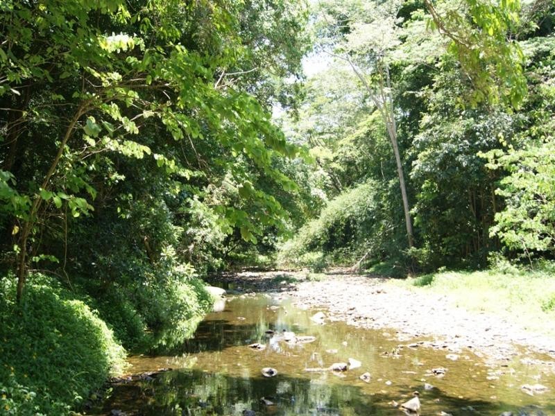 Lot 93 MOWBRAY RIVER RD, Mowbray QLD 4877