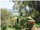 142 Somerset Dve, Miallo QLD 4873