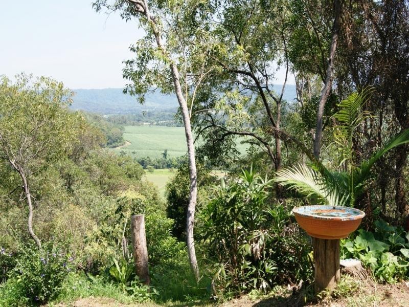 142 Somerset Dve, Miallo QLD 4873