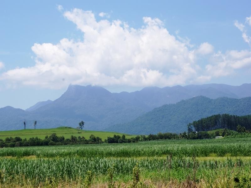 142 Somerset Dve, Miallo QLD 4873