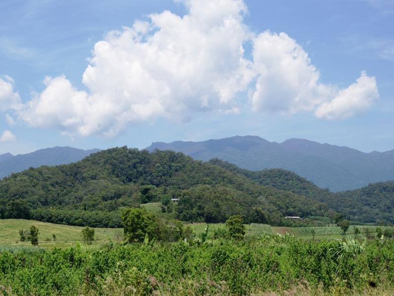 142 Somerset Dve, Miallo QLD 4873